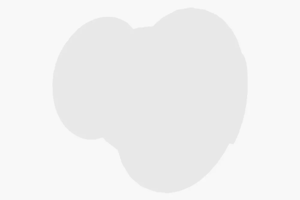 pinlock-gridctax2_SHOEI-Pin