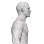 guia_de_talla_cuello_dainese_hombre