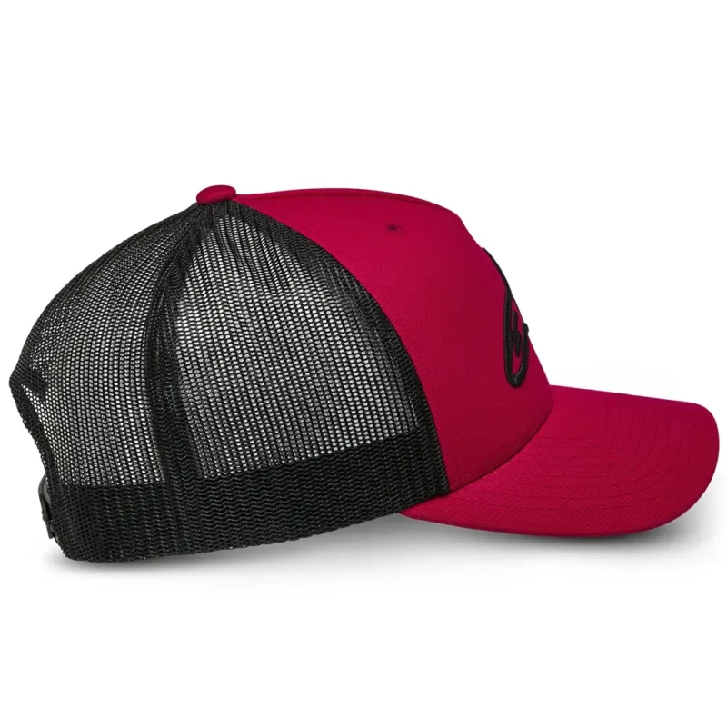 AGELESS TRUCKER - Gorra Alpinestars